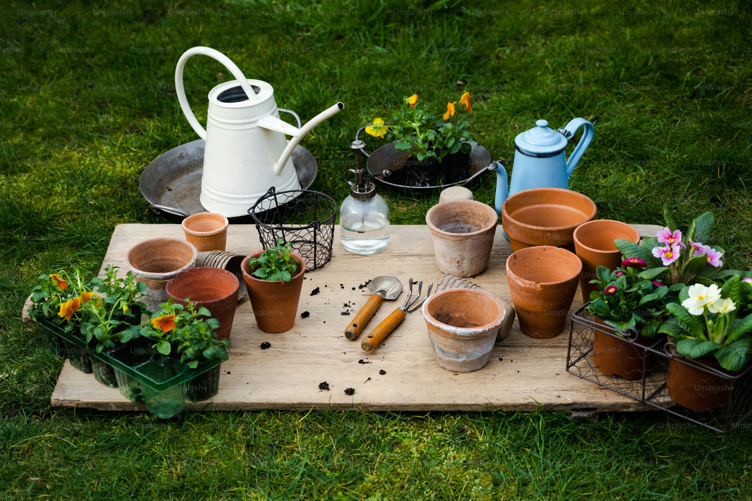 Garden Accessories
